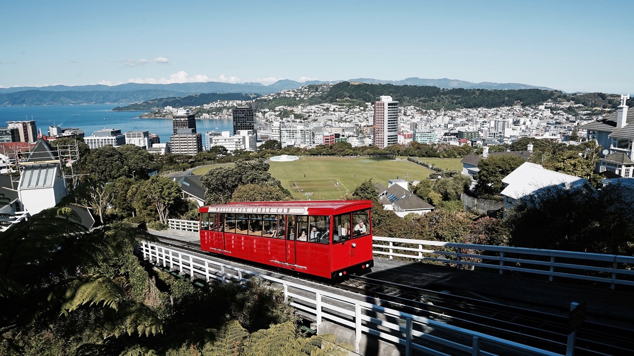 Why Wellington Is A Fair Trade City Lost in Silver Fern